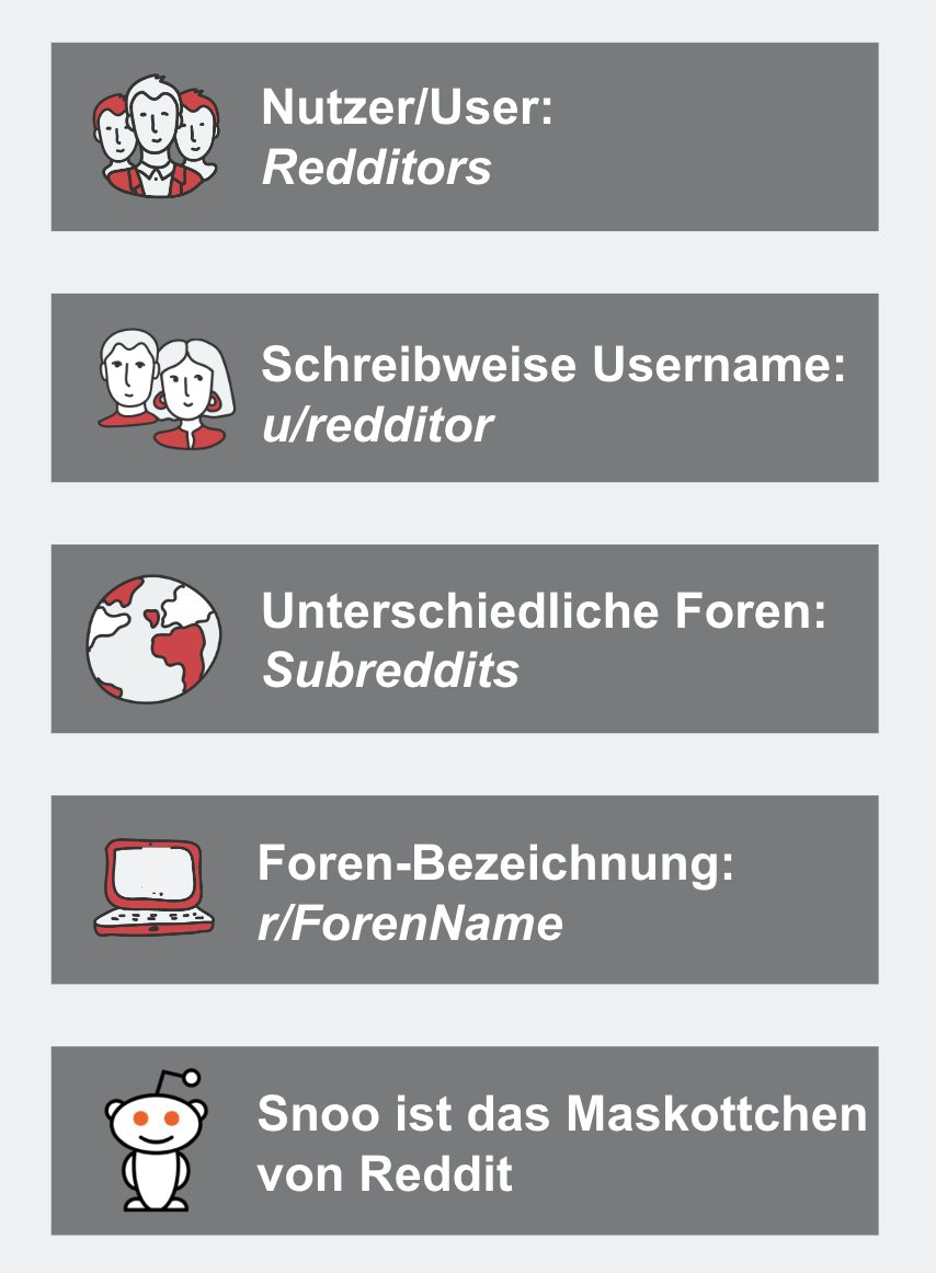 Abbildung des Reddit 1&1