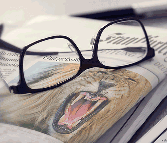 Brille auf einer Zeitschrift mit einem brüllenden Löwen als Symbol für Marketingfokus