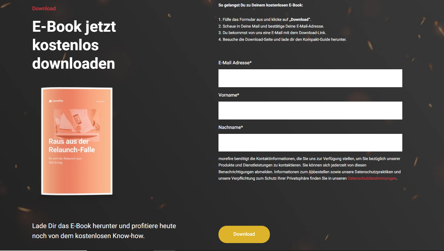 Beispiel für eine E-Book-Landingpage