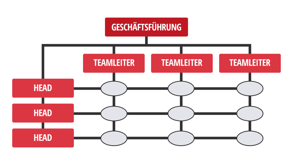 Inforgrafik morefire Aktuelle Organisationsstruktur