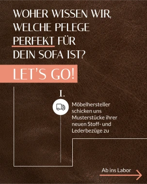 Carousel Post für Social Media zum Thema Pflege und Reinigung eines Sofas