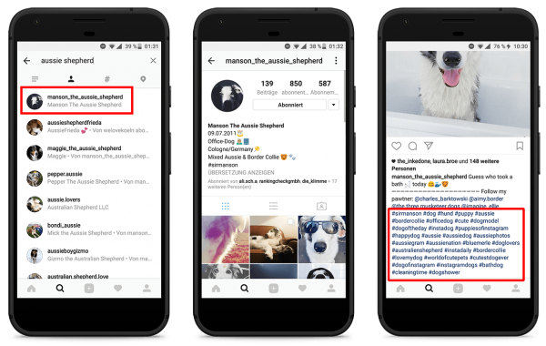 Hashtag Profile Instagram Hashtags: Der große Guide | morefire