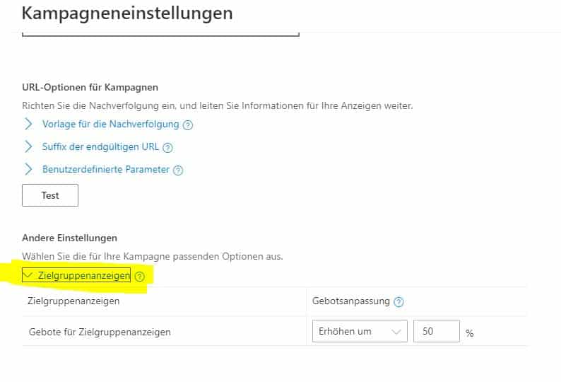 Kampagneneinstellungen bei Microsoft