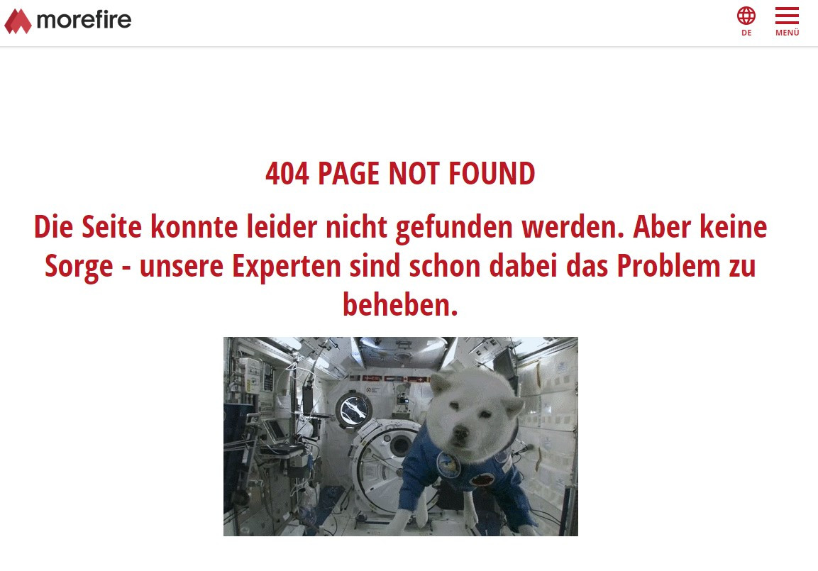 Fehlerseite 404 mit einem Hund im Weltraumanzug