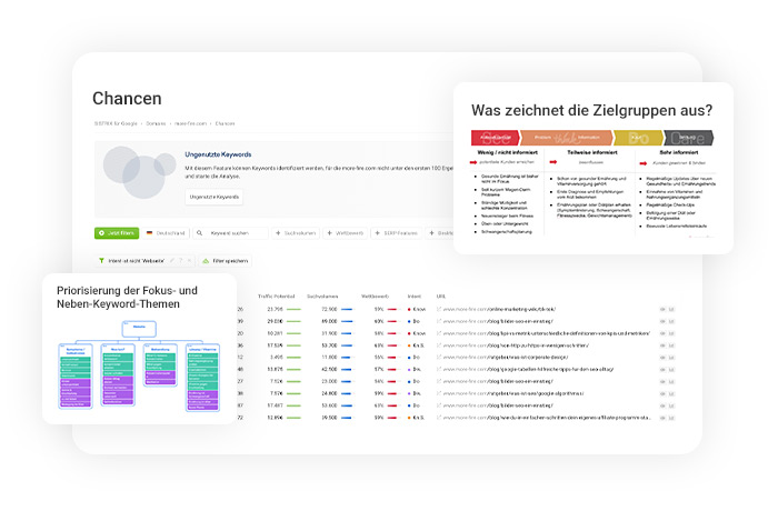 Screenshot einer Chancenanalyse mit Fokus auf Zielgruppenmerkmale und Keyword-Priorisierung
