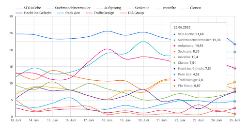 Screenshot unseres AI rankingcheck Tools